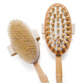 ensemble masseur de bain double visage brosse ensemble